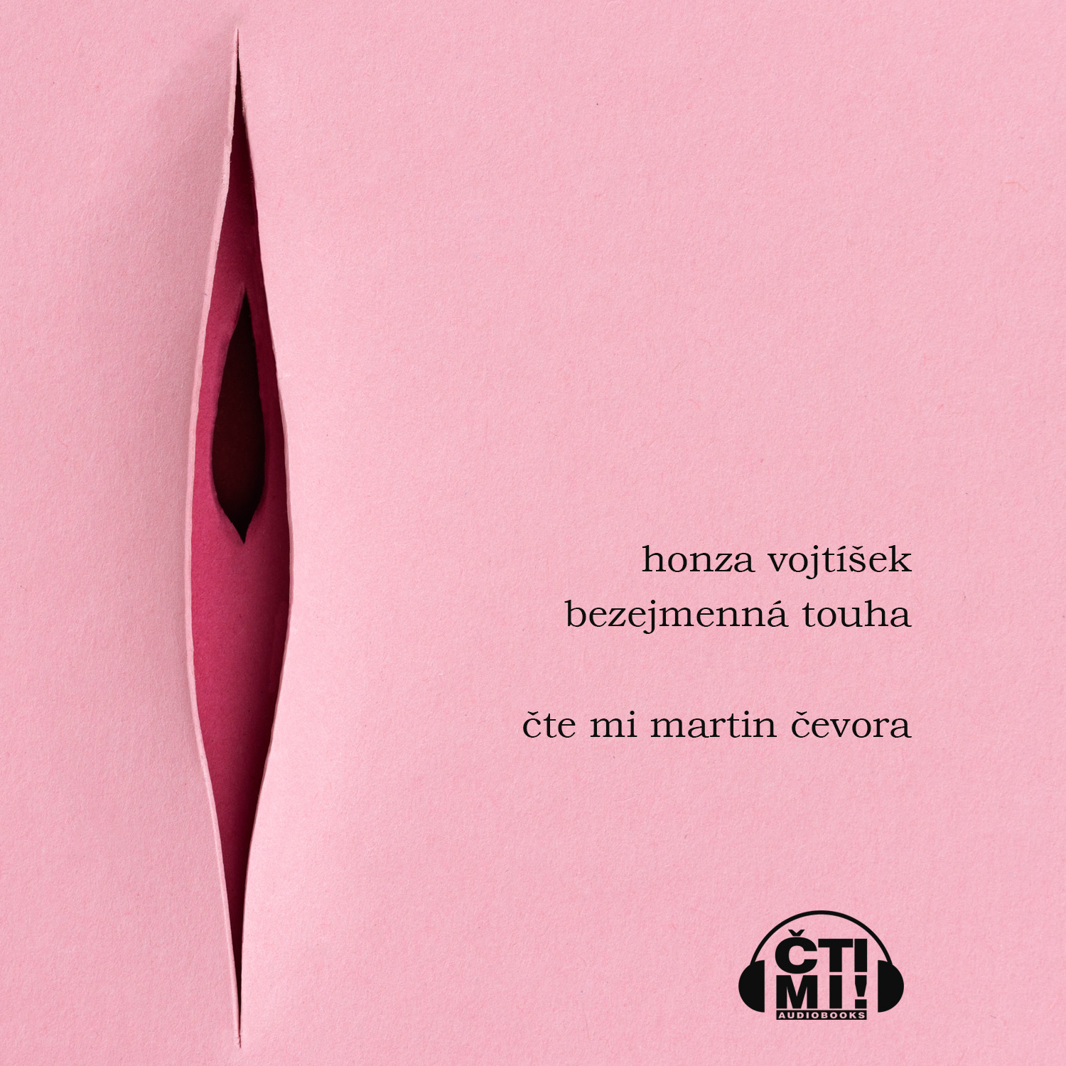 Audiokniha Bezejmenná touha – Honza Vojtíšek
